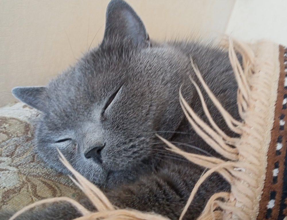 benefits of immorpos35.3 software