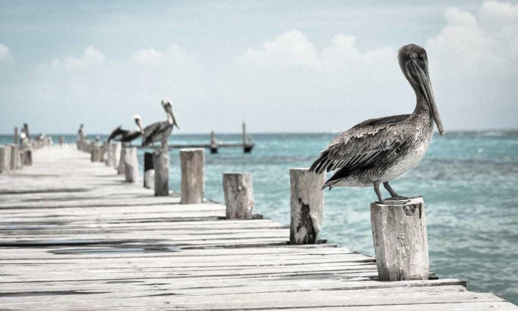 cilxarhu677 moisturizer