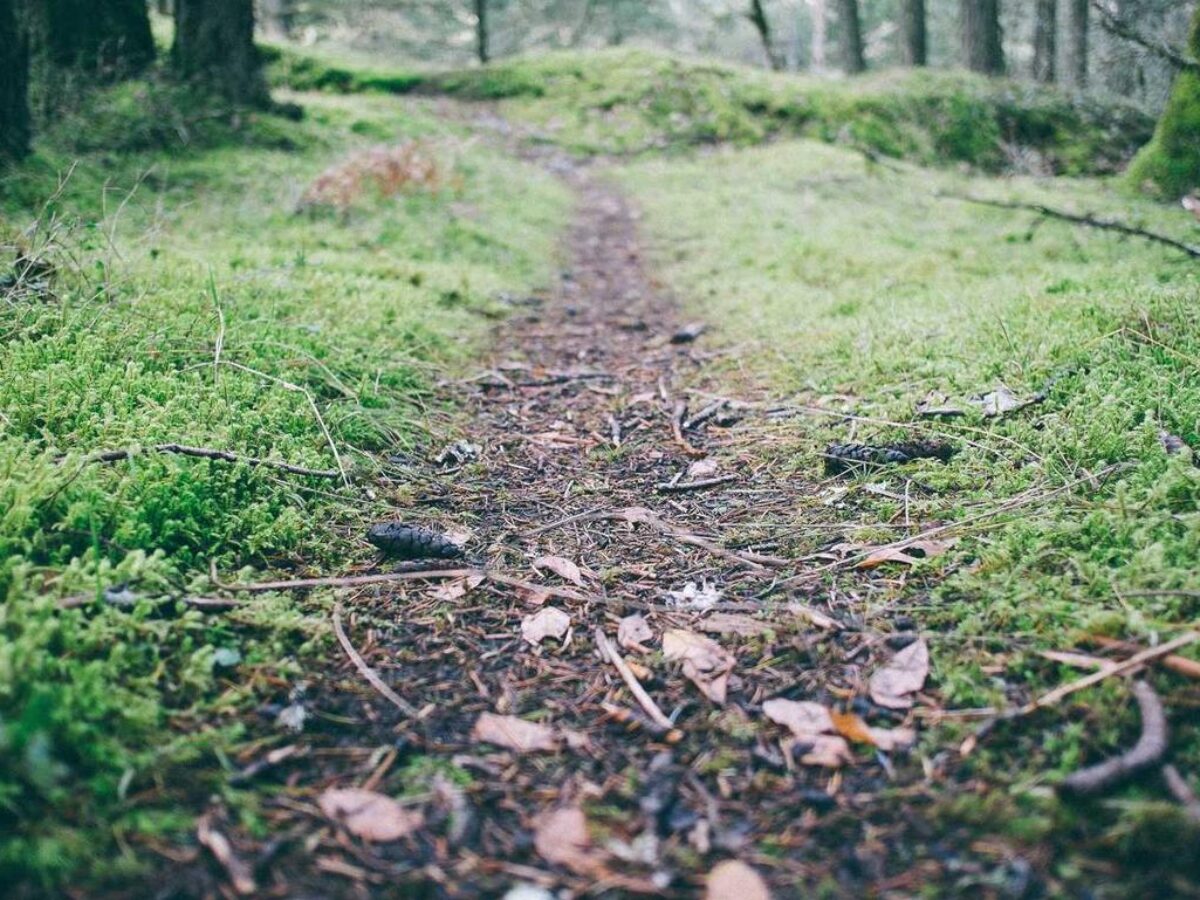 darhergao hair dye - ontpinvest.com