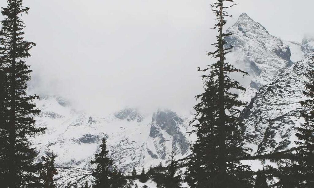 financial guide ontpinvest