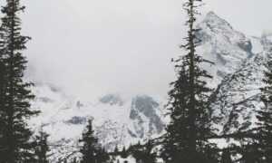 financial guide ontpinvest