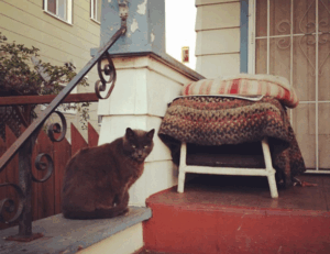 highlights of nummazaki