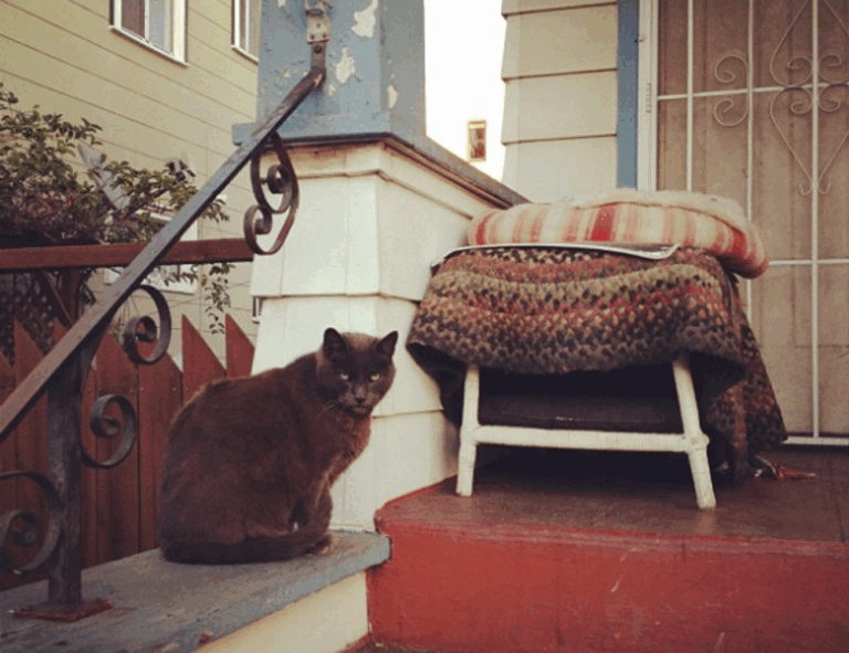 highlights of nummazaki