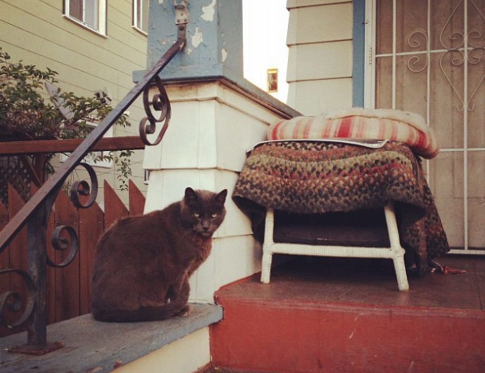 highlights of nummazaki