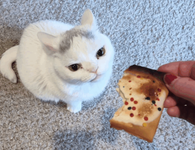 is 2579xao6 easy to learn