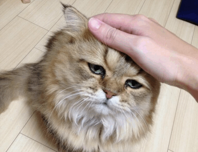 money management ontpinvest