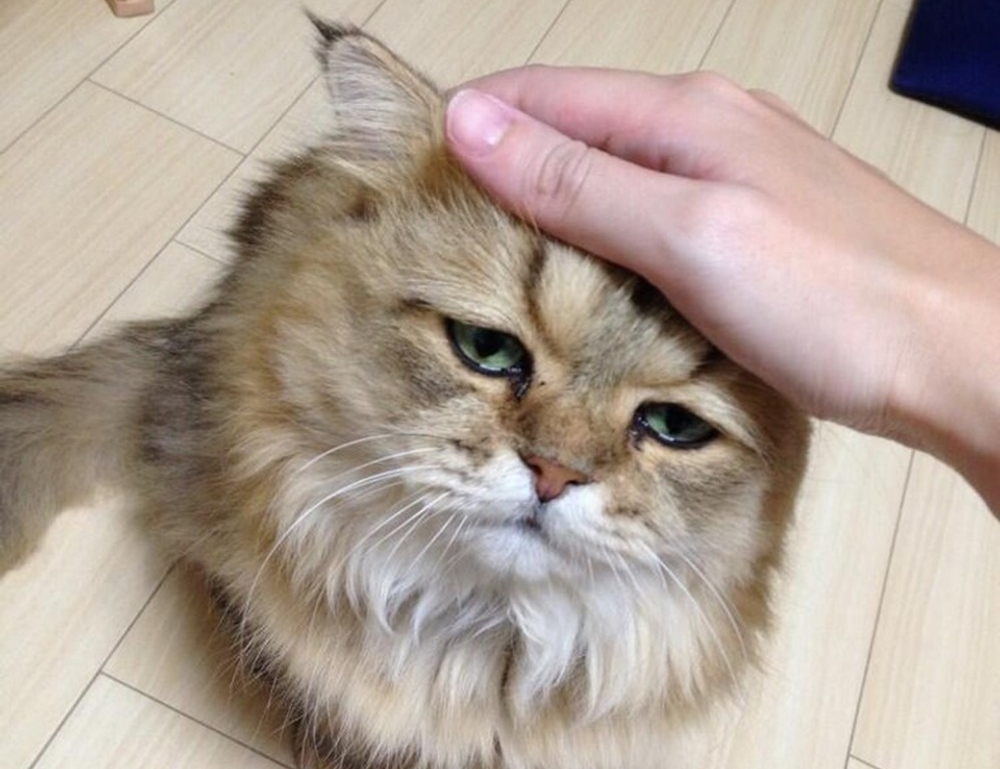 money management ontpinvest