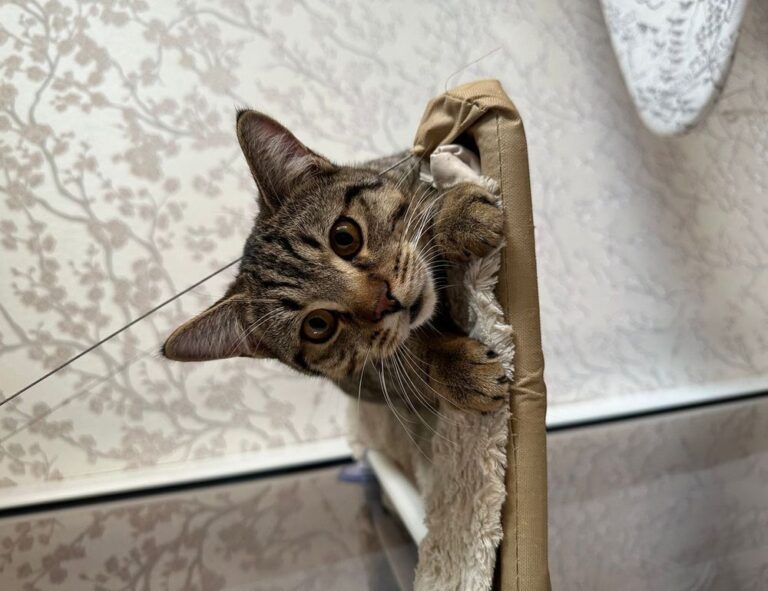 money management tips ontpinvest