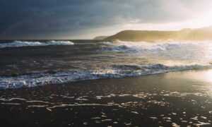 new software name mozillod5.2f5