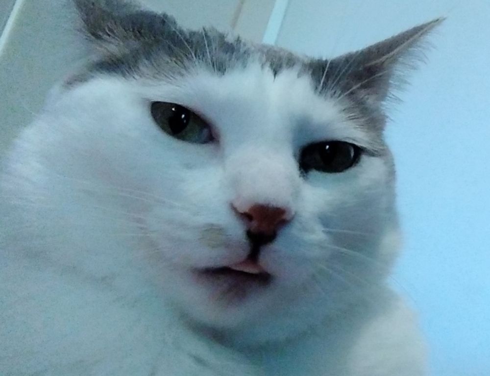 ontpinvest financial tips by ontpress