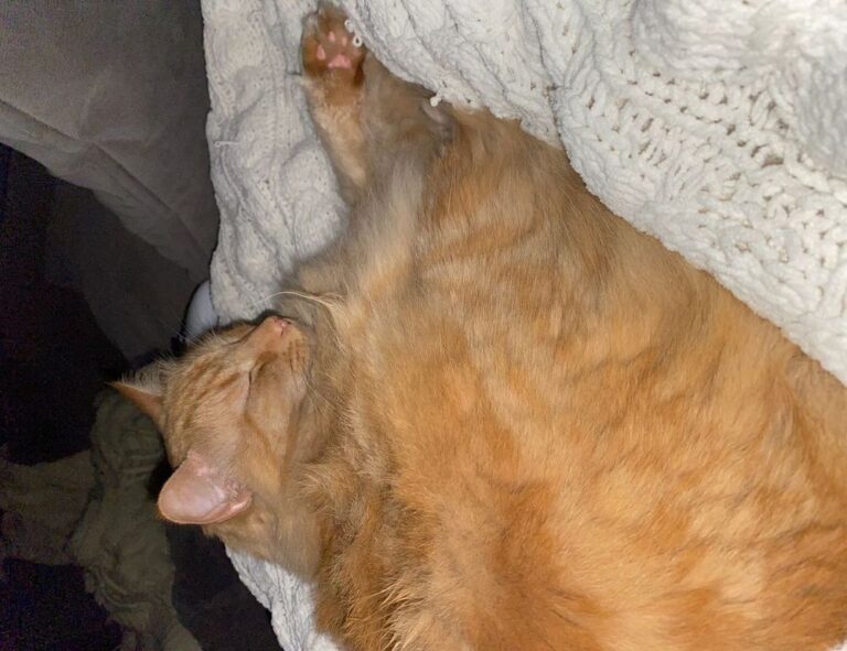 software dowsstrike2045 python