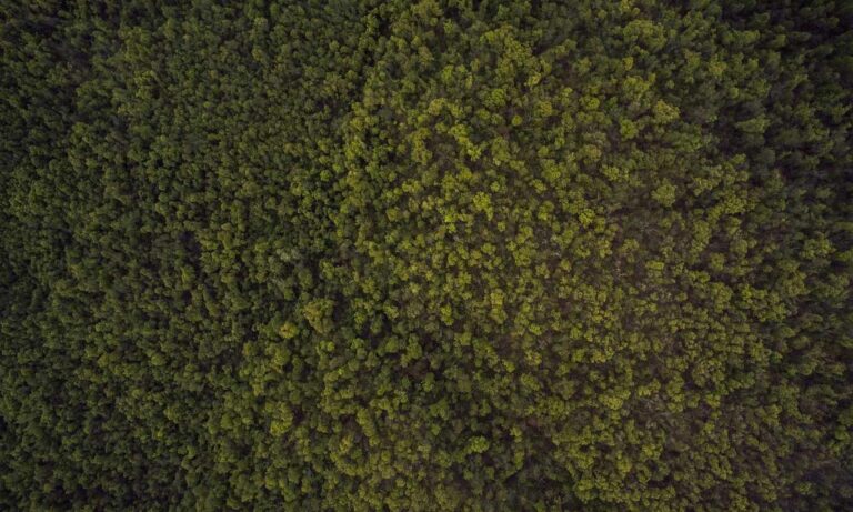 software error rcsdassk