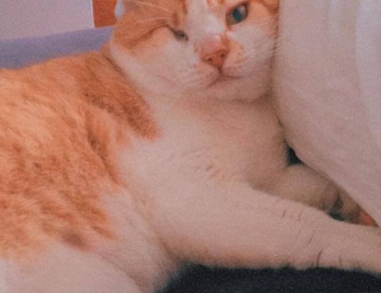 update munjoff1445 mods