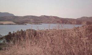 zenvekeypo4 software