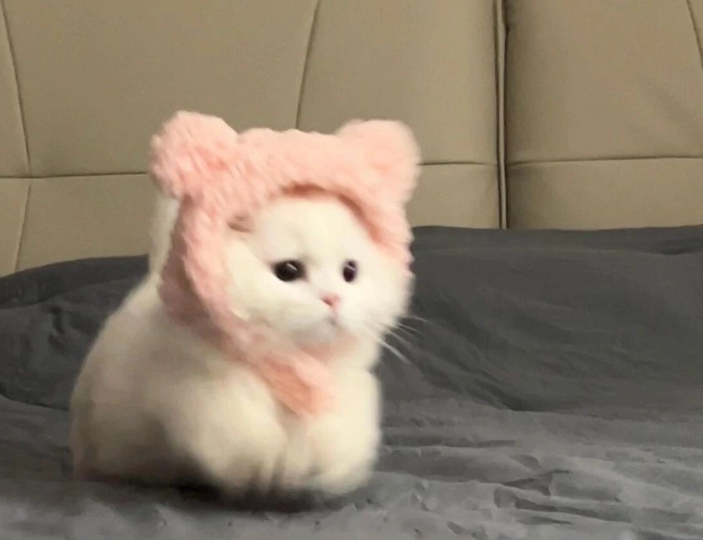 aggr8budgeting financial news by aggreg8