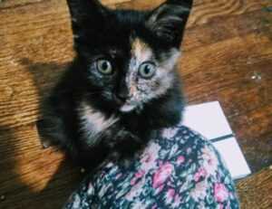 aggr8taxes investment savings by aggreg8