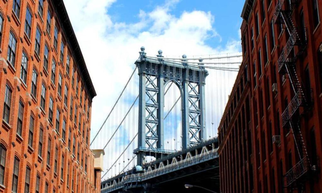 business guide dismoneyfied