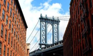 business guide dismoneyfied