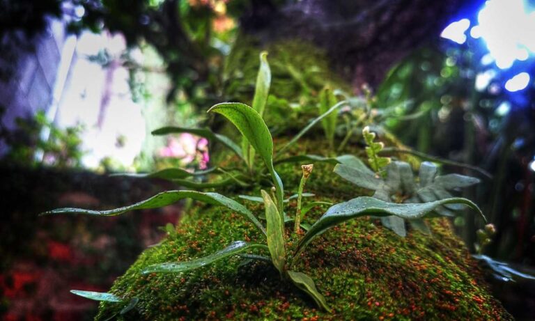 capital management aggr8budgeting