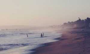 contracts aggr8taxes