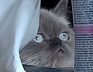 how to calculate taxes aggr8taxes