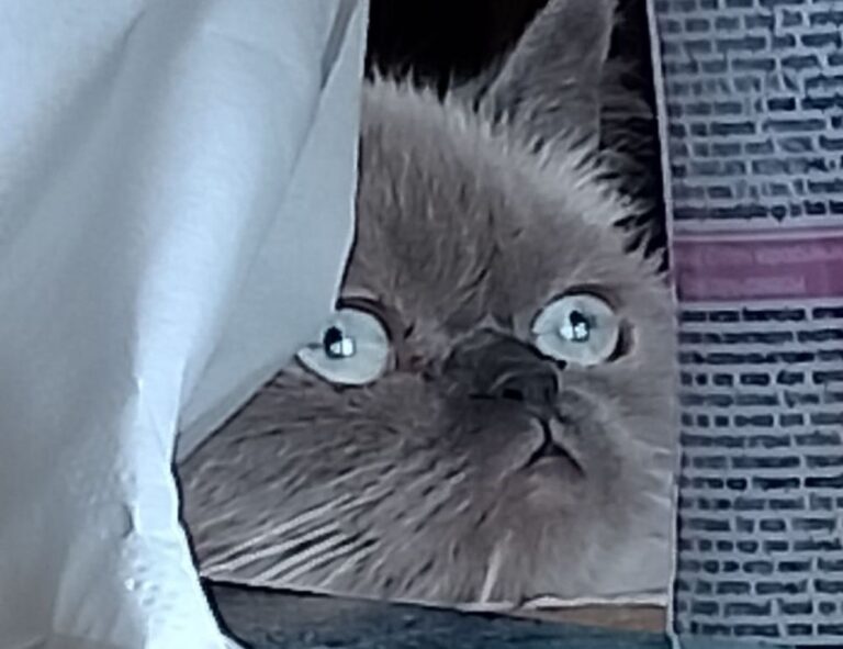 how to calculate taxes aggr8taxes