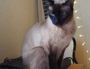 land plans aggr8taxes