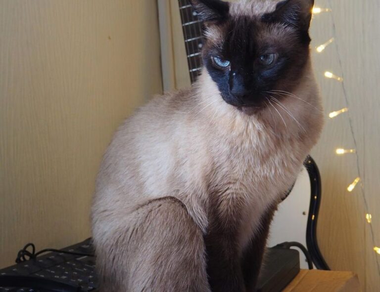 land plans aggr8taxes