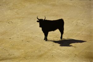 bull market forecast