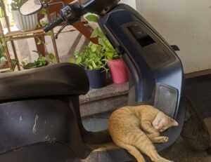 savings tips aggr8taxes