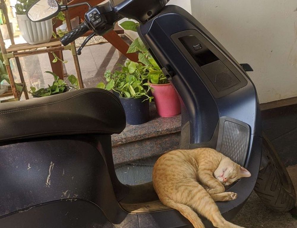 savings tips aggr8taxes