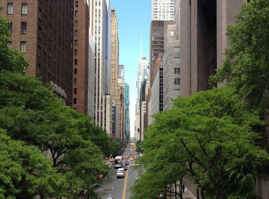 Standout Stars: Analyzing the Game's Top Performers