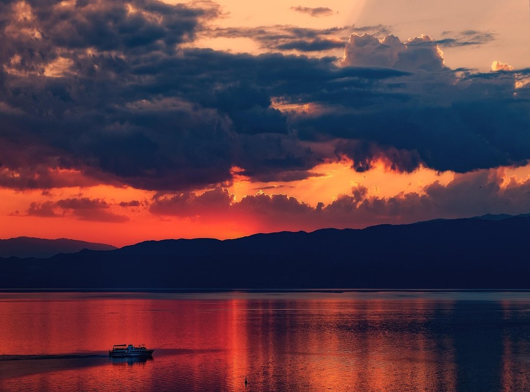 Explore More Characters from Rainbow Friends Chapter 2