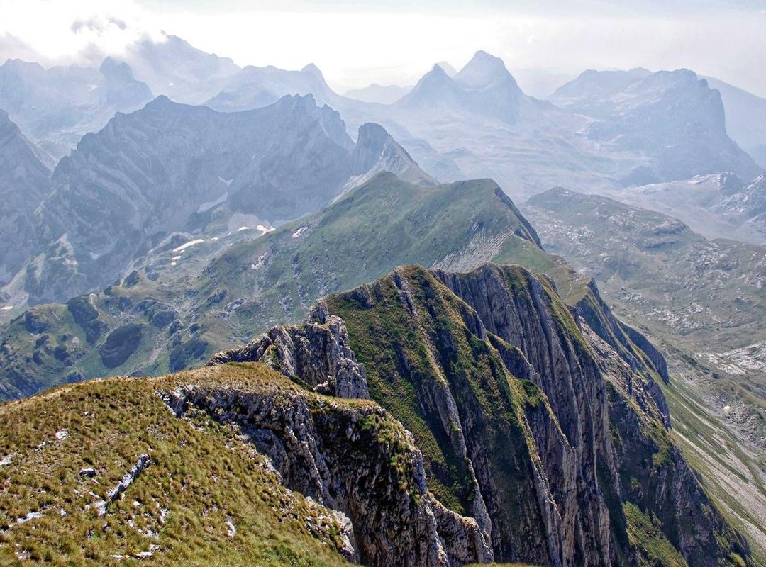 Unpacking the Meaning: Loyalty, Streets, and Success