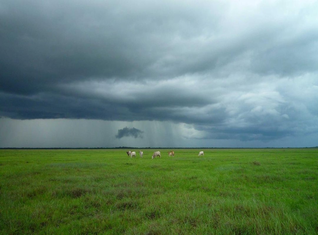 The Downsides: Battery Drain, Performance, and Safety